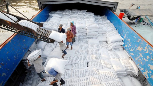 Bộ Nông nghiệp Mỹ dự báo Việt Nam sẽ tiếp tục đứng thứ hai về xuất khẩu gạo